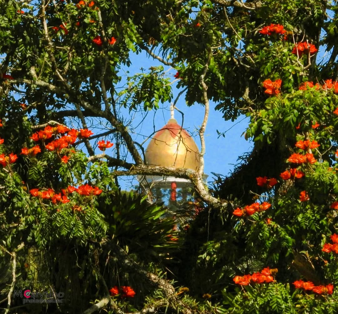 Diocese de Petrópolis lança concurso de fotografia “Fraternidade e Ecologia Integral”