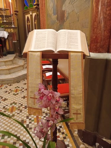 Assembleia-Diocesana-de-Pastoral-32