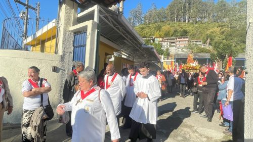 Congresso-Jubilar-do-Apostolado-da-Oracao Peregrinacao Fotos-Pascom-Santuario-Amor-Divino-14