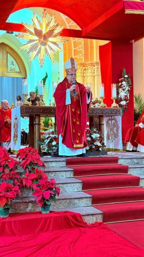 Crisma-Paroquia-Santa-Teresa-69