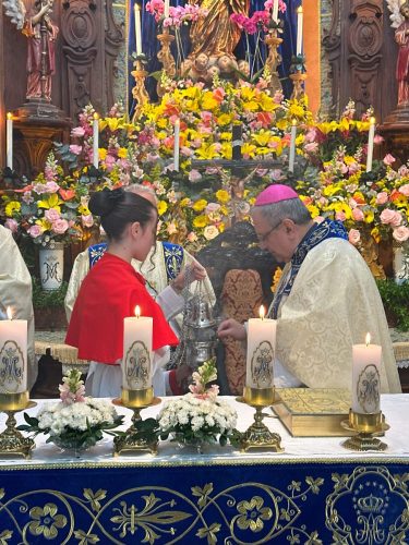 Festa-da-Padroeira-da-Diocese-Nossa-Senhora-do-Amor-Divino-25