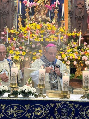 Festa-da-Padroeira-da-Diocese-Nossa-Senhora-do-Amor-Divino-28