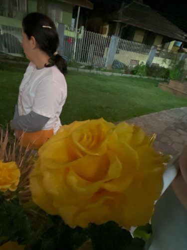Festa-de-Nossa-Senhora-Rosa-Mistica-na-Paroquia-de-Correas-22