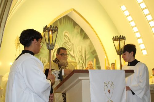 IMG 4131
