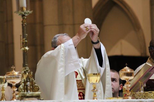 Missa de abertura na Catedral de Petrópolis