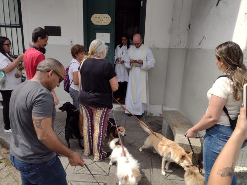 Missa-e-bencao-dos-animais-no-Centro-Educacional-Terra-Santa-83