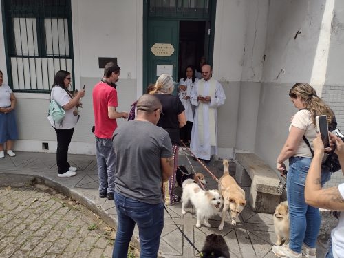 Missa-e-bencao-dos-animais-no-Centro-Educacional-Terra-Santa-86