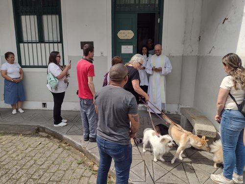 Missa-e-bencao-dos-animais-no-Centro-Educacional-Terra-Santa-87